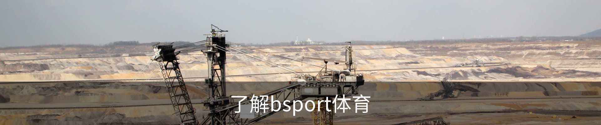 了解bsport体育